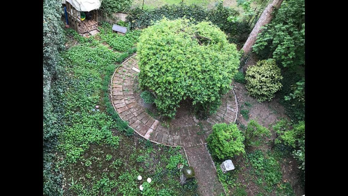 Casa Luminosa Con Giardino In Centro Storico Apartment Реджо Емилия Екстериор снимка